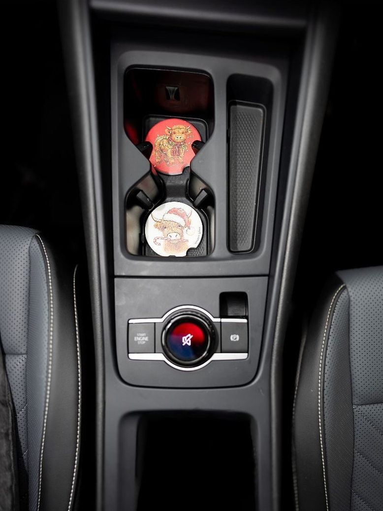 Simply Holiday Car Coaster