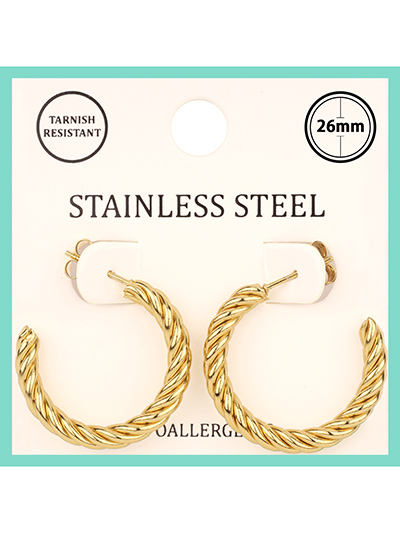 Stainless Steel Twisted Hoops