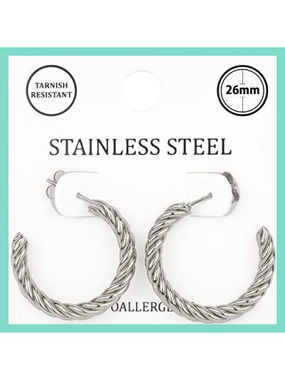 Stainless Steel Twisted Hoops