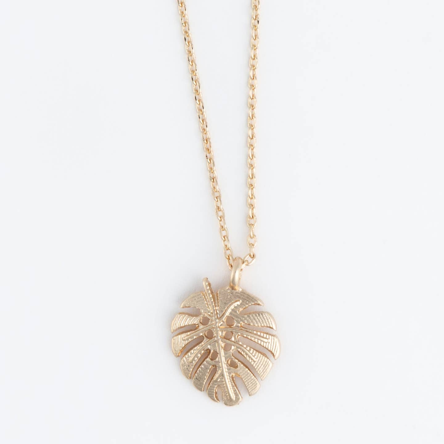 Delicate Necklace Collection