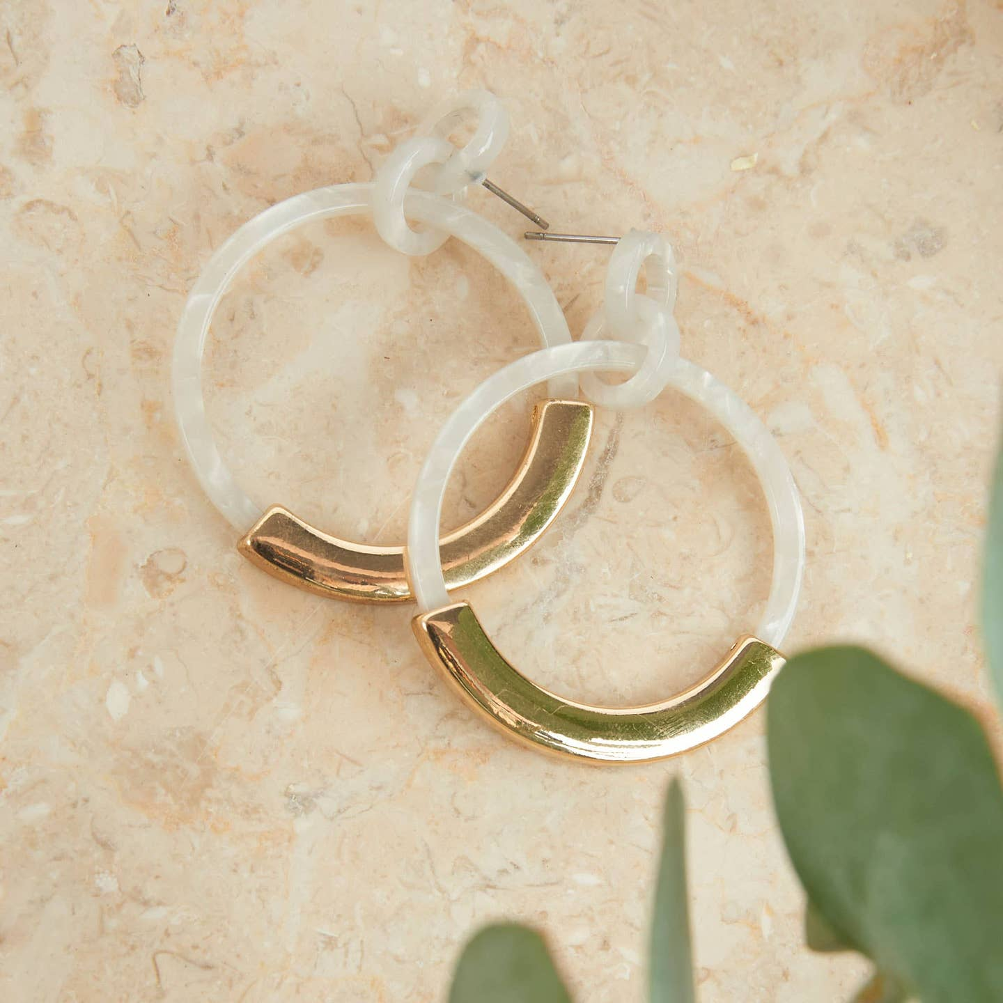 Tortoiseshell Acrylic Hoop Earrings