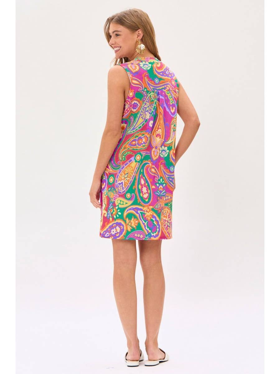 Perfection In Paisley Dress