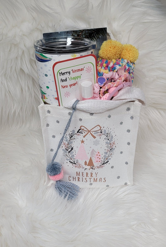 Merry Christmas Gift Bag